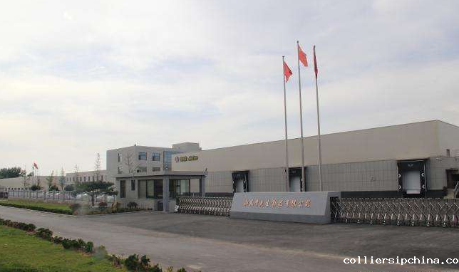 1697090935345893Ezd5.png 1.png