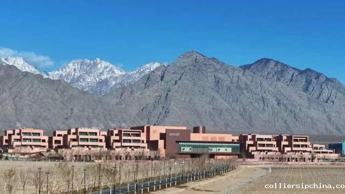 1703743764358608jC3c.jpg 1.jpg