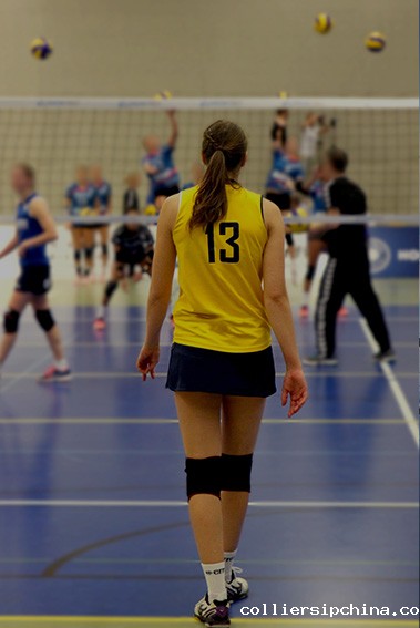 政府机关及运动场馆